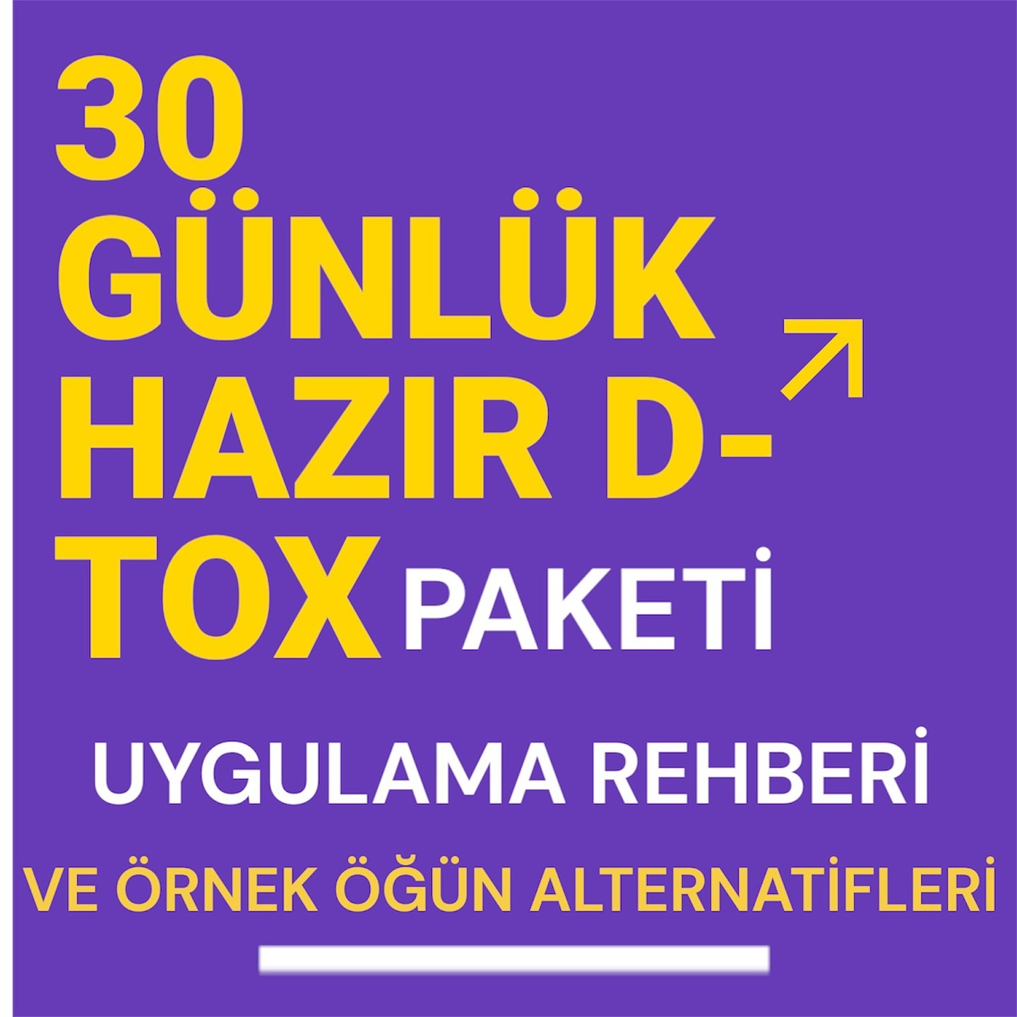 30 Günlük Hazır D-Tox Paketi Uygulama Rehberi