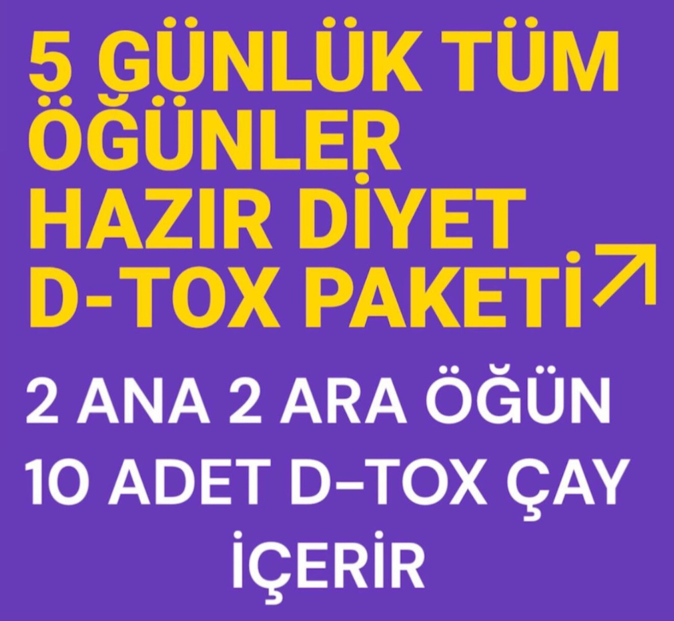 5 Günlük Tüm Öğünler Hazır Diyet D-tox Paketi